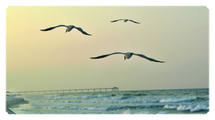 DSC700 126 Going Home (Seascape)